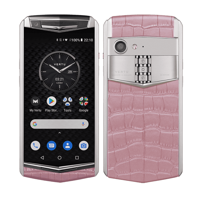 ASTER P Baroque Alligator Orchid