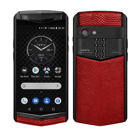 ASTER P Gothic Lizard Garnet